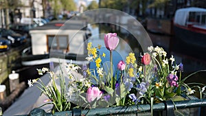 Classic Dutch tulips decorate a bridge on one of Amsterdam`s canals