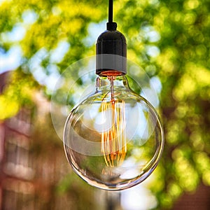 Classic Edison light bulb on green leaves background