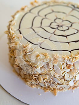 Classic Esterhazy cake decorated with almond petals and a chocolate spider on a white background.