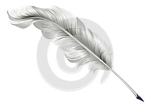 Classic feather quill illustration