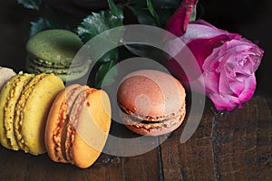 Classic ffrench macarons and a rose