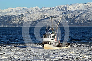 Classic fishing boat in an icy bay