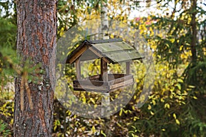 Classic forest bird and squirrel feeder as small gabled house on pine tree