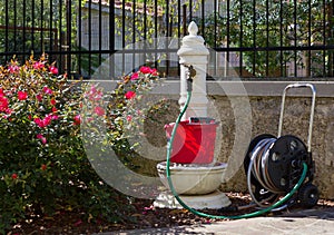 Classic Fountain in a Garden