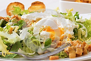 Velký francouzština klasický salát. vejce slanina topinky 