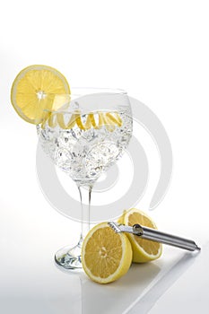Classic gin and tonic with a lemon twist
