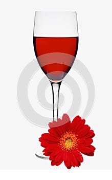 Classic Glass of Red Wine and Red Gerbera Flower isolated on white background