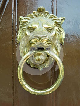 Classic golden door knocker Lion with ring