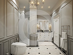 Classic gray bathroom interior design