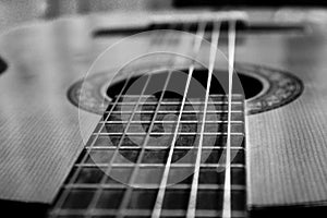 Classic guitar in greyscale style