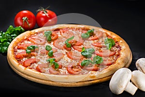 Classic Italian Pizza Margarita with mozzarella, tomatoes, sauce