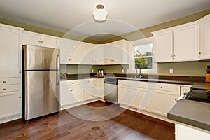 Classic kitchen with green interior paint, and white cabinets.