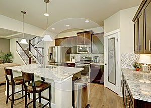 Classic kitchen room interior with large kitchen island