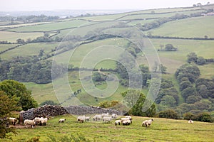 Classic landscape in England