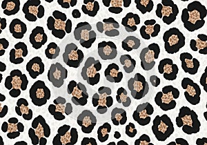 Classic leopard print pattern on white background