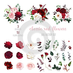 Classic luxurious red and peachy roses, pink carnation, ranunculus, dahlia