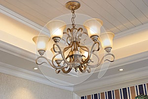 Classic luxury pendent lighting