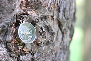 Classic navigation compass in childs hand on natural background