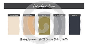 Classic neutral colors palette. Spring-Summer 2021. Fabric pieces. Vector.