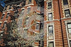 Classic old apartment building, New York City