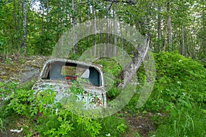 Classic Old Car decays in a meadow.