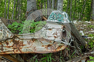 Classic Old Car decays in a meadow.