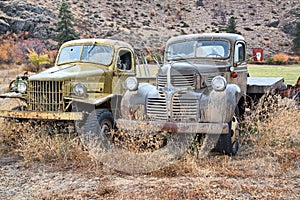 Classic Old Pickup Trucks