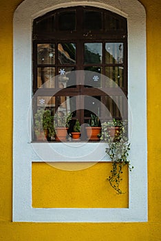Classic old yellow house with well-kept flower pots in front of it, great for wallpapers