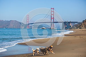 Classic panoramic view of famous Golden Gate Bridge seen from Baker Beach in beautiful summer sunny day with blue sky, San