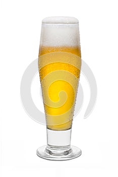 Classic Pilsner Beer with Condensation, with Foam Head 1