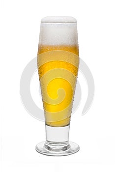 Classic Pilsner Beer with Condensation, with Foam Head 1 photo