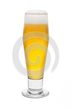 Classic Pilsner Beer, with Foam Head 1