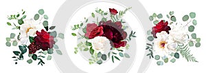 Classic red roses, white and burgundy peony, berry, eucalyptus, maidenhair fern photo