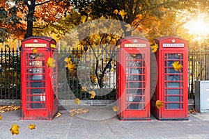 Classic red telephone booths in front of a park in London during autumn time