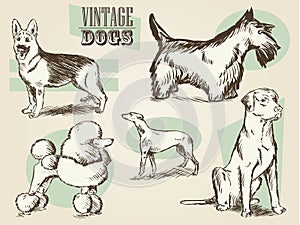 Classic Retro Ornate Dog Collection