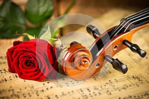 Classic retro violin music string instrumt on old music note sheet paper with red rose flower old oak wood wooden background.