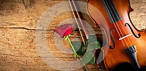 Classic retro violin music string instrumt with red rose flower old oak wood wooden wide panorama background. classical musical