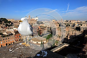 Classic Rome - Seagulls at top , aerial view to old roof buildings and street