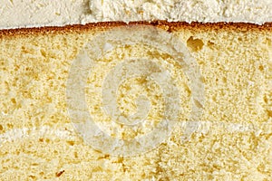 Classic Rosette Sponge Cake