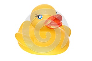 Classic rubber ducky on white ground