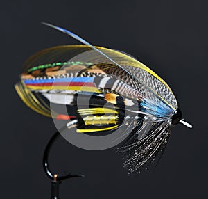 Classic Salmon Fly