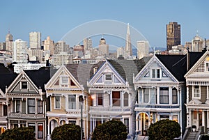 Classic San Francsisco Postcard Row View