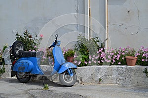 Classic Scooter