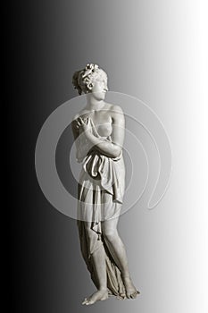 Classic sculpture of goddess Venus