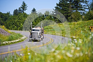 Classic semi truck big rig carrying lumber on highway