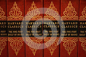 Classic set of reference books in public library