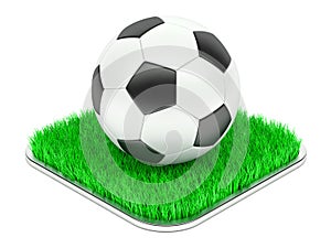 Classic soccer ball on grass section