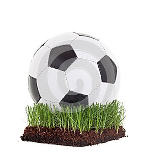 Classic soccerball lying on a piece of meadow