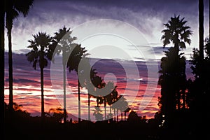 Classic Southern California Sunset