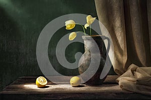 Classic still life with bouquet of three yellow tulip flowers in old vintage jug, two cut lemon fruits and drapery in beam of